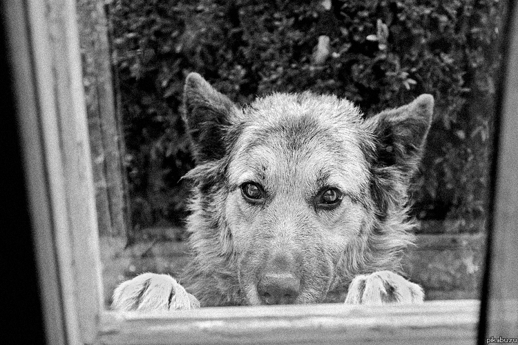 Осени краски манили, но таяли...