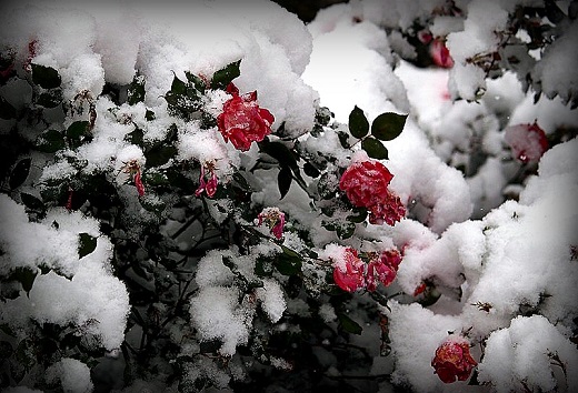 Еще слезу пролив на посошок... Лидия Борисова