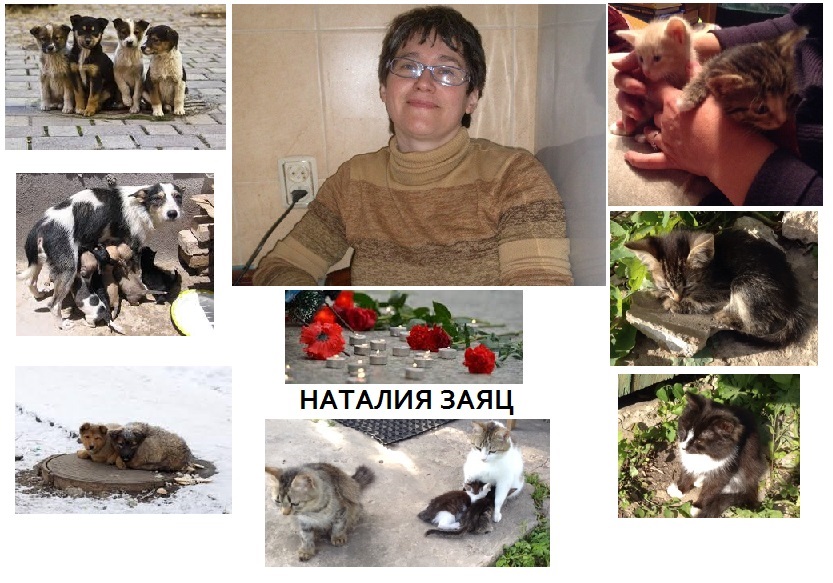 Просим молитв о невинноубиенном ветеринаре Наталии