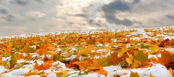 Взгляни на небо...