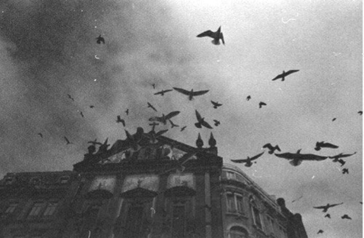 Неисцелимое! немое молчание