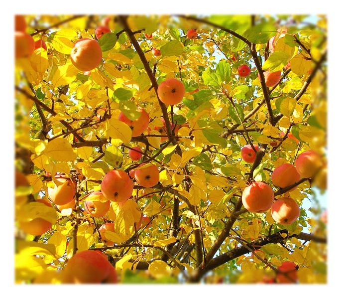 Сегодня тихо