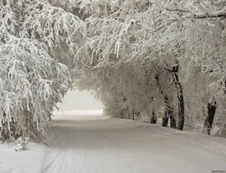 Сказку подари мне...