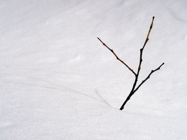 На зимнюю ткань