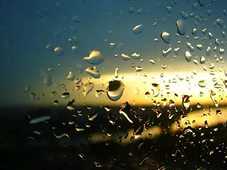 487. Осенняя вуаль