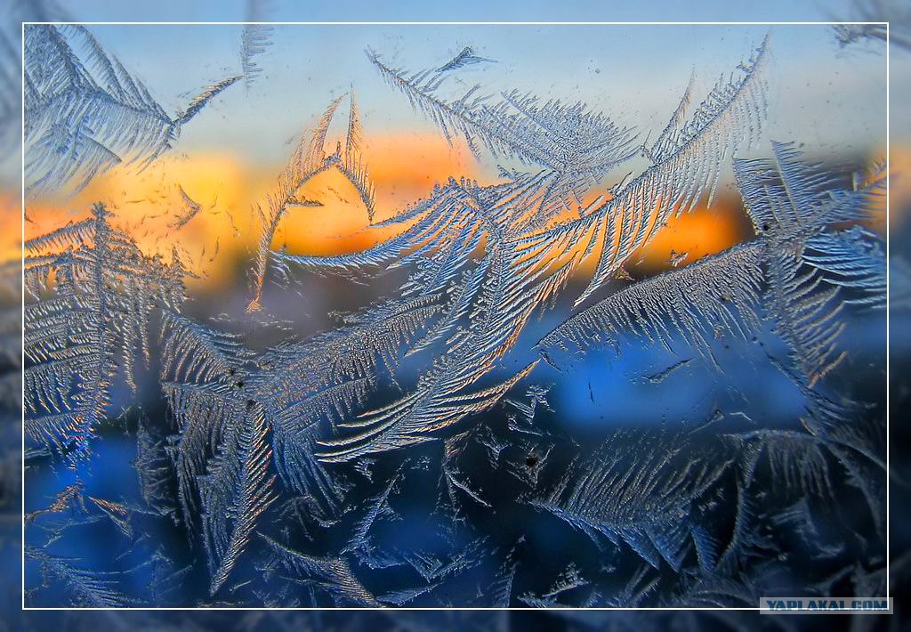 Рисует мороз на окне