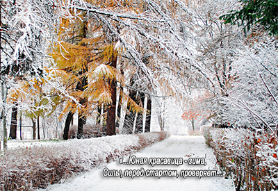 Вот и всё, кончается ноябрь