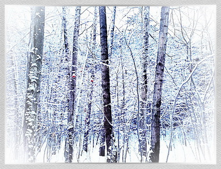 Мой попутчик