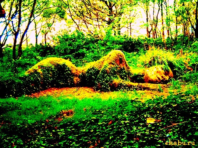 Могильная трава