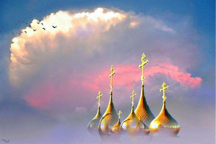 научи меня жить