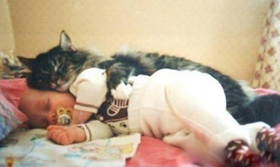 Кошка рассказала