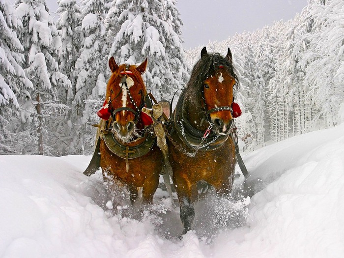 Утихли зимы на Урале