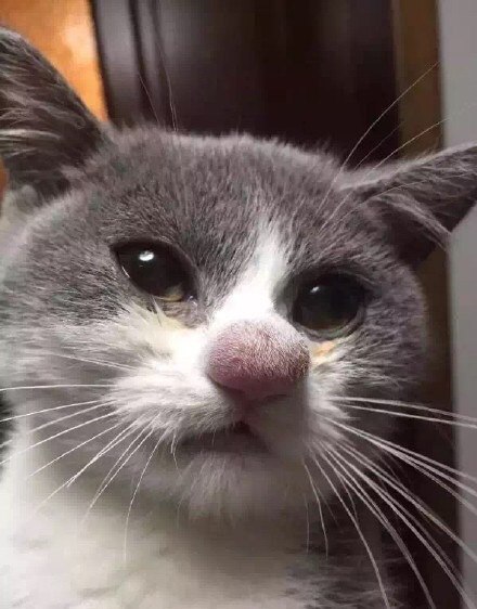 На ошибках учатся...