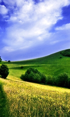 А небо мыслит и вздыхает...