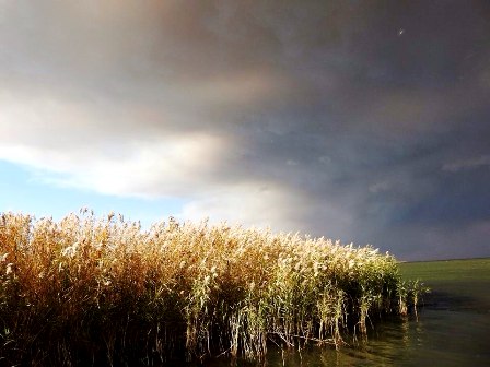 Должны устоять