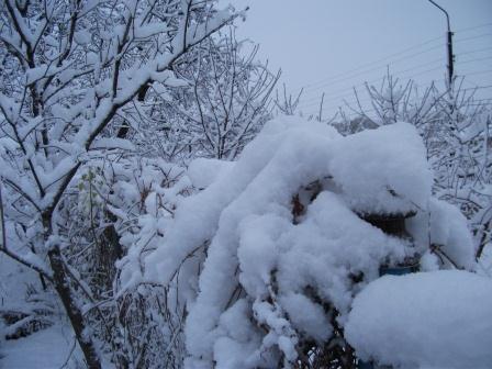 Сестренке. Снег