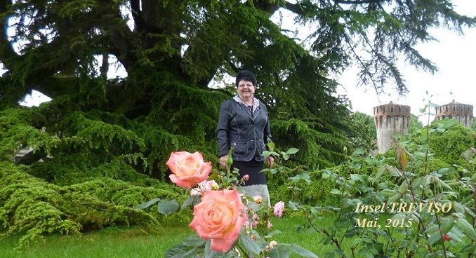 Es kann so vieles bewirken