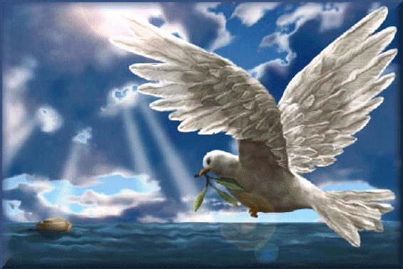 Улететь бы в степные дали...