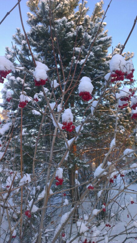 Но где б ты был?