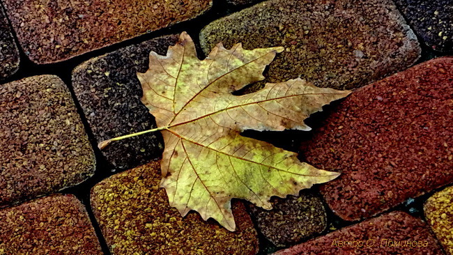 Как человек