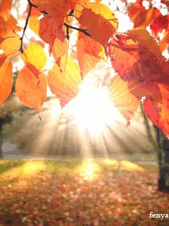 Прощанье осени