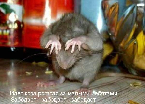 Вспомните девчонки...