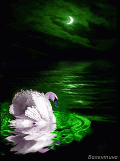 Я не заметила ненастье...