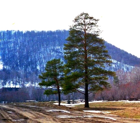 Не выдам никому...
