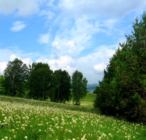 Порой в груди, вдруг...