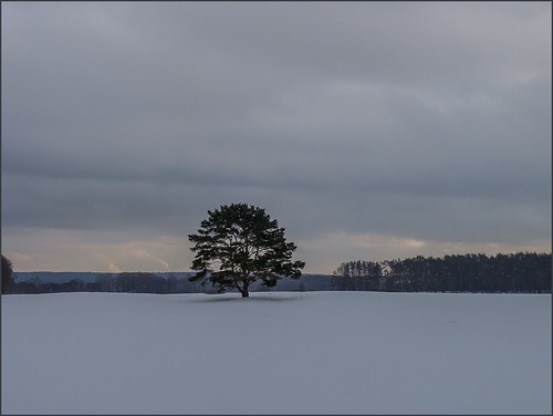 Первый снег
