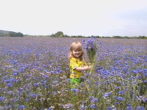 Подарю я мамочке