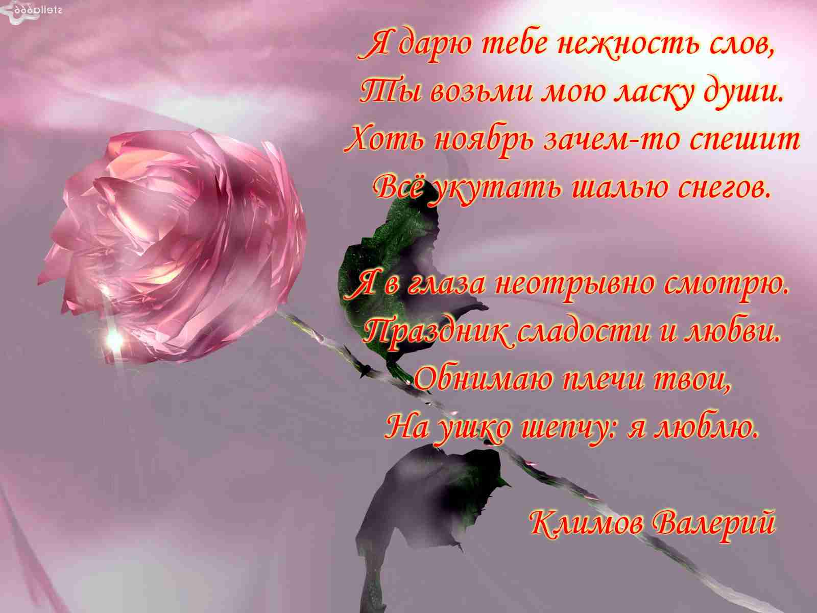 ты нежность. нежные картинки о любви. подарю тебе нежность. парень и девушка в ромашках.