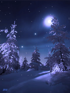 Лунные фиалки