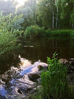 Моя колыбель