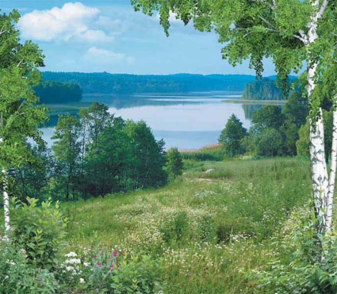 Гой ты русь моя родная. Край березовый песня. Ах ты русь моя край березовый. Слова песни край березовый. Стихотворение есенина русь.