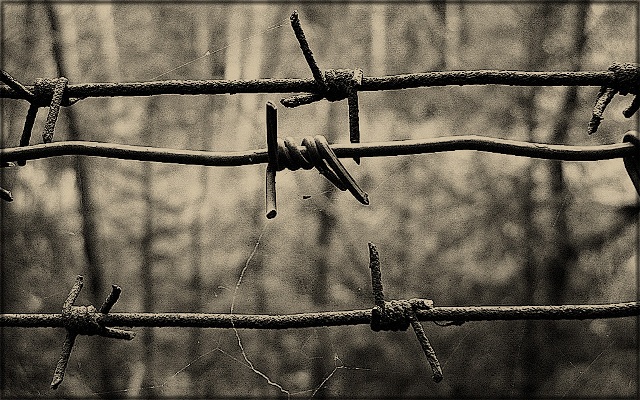 Кунсткамера