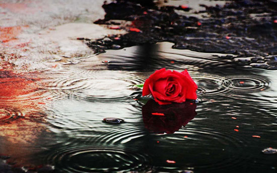 Ты когда-нибудь решишься?