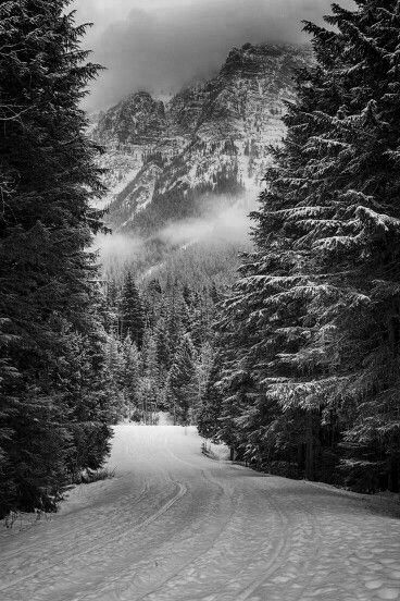 Зима наступила