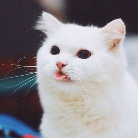 Ты как-то помято выглядишь!
