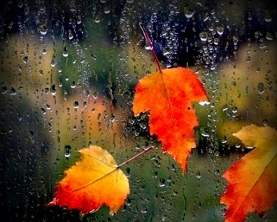 Багряно-желтою листвой...