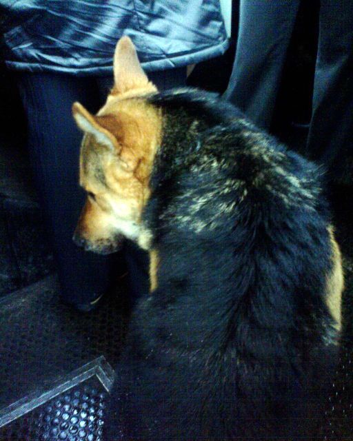 Катя и Коля 4