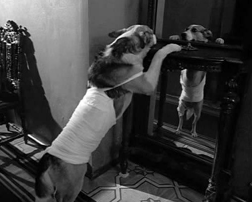 Сонет к попытке постижения