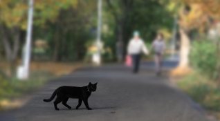 Живём по воле случая