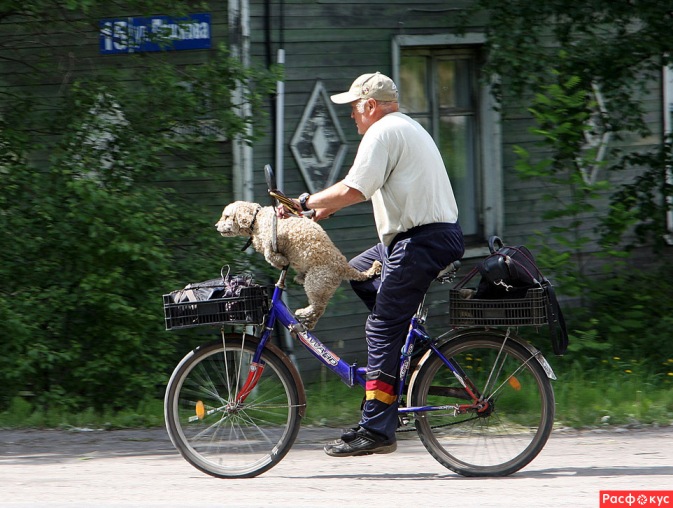Конкурс пяти строк Сел на вело - езжай смело!