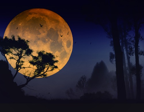 Луна туману хвасталась затменьем