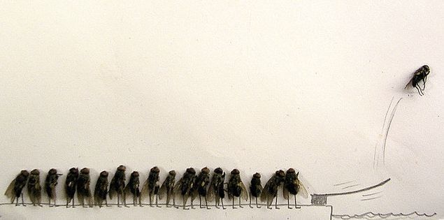 в очередь!!!