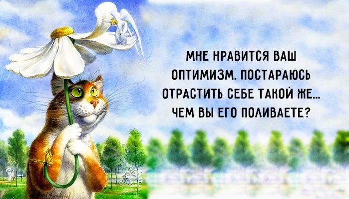 Коротко о нас и временах года