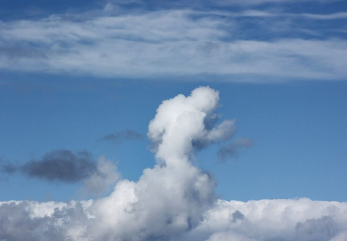 Утечка облака. На что похожи облака. Облака в форме животных. Облака похожие на животных. Облака форма.