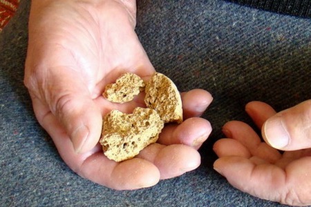 Жаждущий чужого хлеба