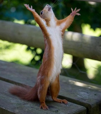 Млечный путь молоком разлился...